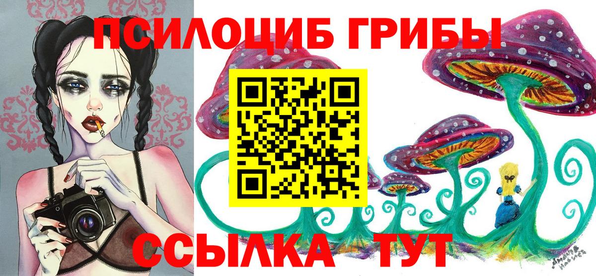 Галлюциногенные грибы Psilocybe Ростов-на-Дону