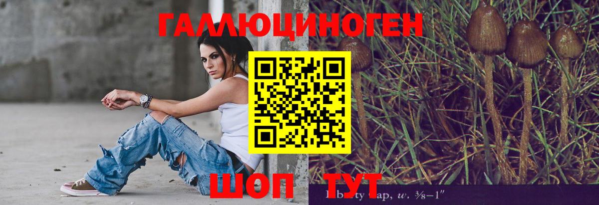 Ростов-на-Дону  Галлюциногенные грибы MAGIC MUSHROOMS  Вход с VPN 